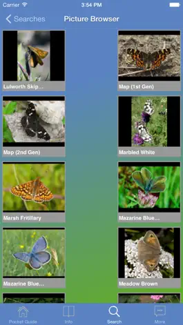 Game screenshot Pocket Guide UK Butterflies mod apk