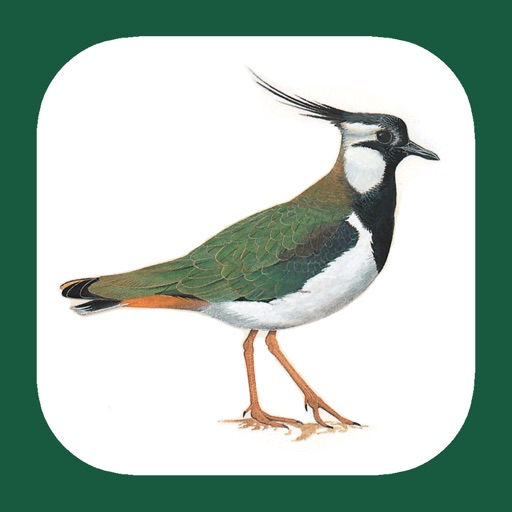 eGuide to the Handbook of Bird Identification for Germany and Switzerland