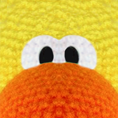 Activities of Woolly Jumpers