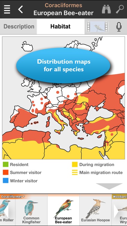 Birds of Europe - identification, distribution, voices