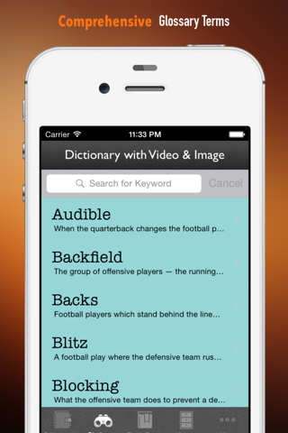 American Football 101: Quick Learning Reference with Video Lessons and Glossary screenshot 3