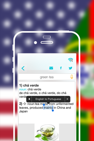 Offline Portuguese to English Language Dictionary translator / inglês - dicionário português screenshot 4
