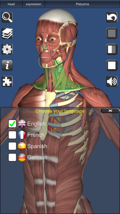 3D Anatomy