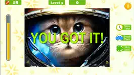 Game screenshot Cats Puzzle Deluxe hack