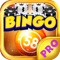 Number Blitz PRO - Play Online Bingo and Gambling Card Game for FREE !