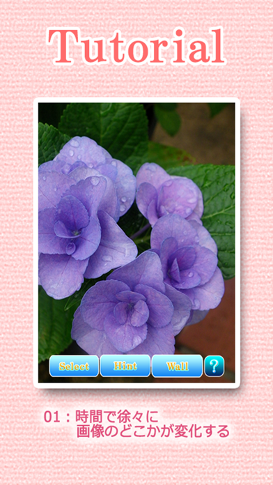 How to cancel & delete Landscapes of the flower from iphone & ipad 2