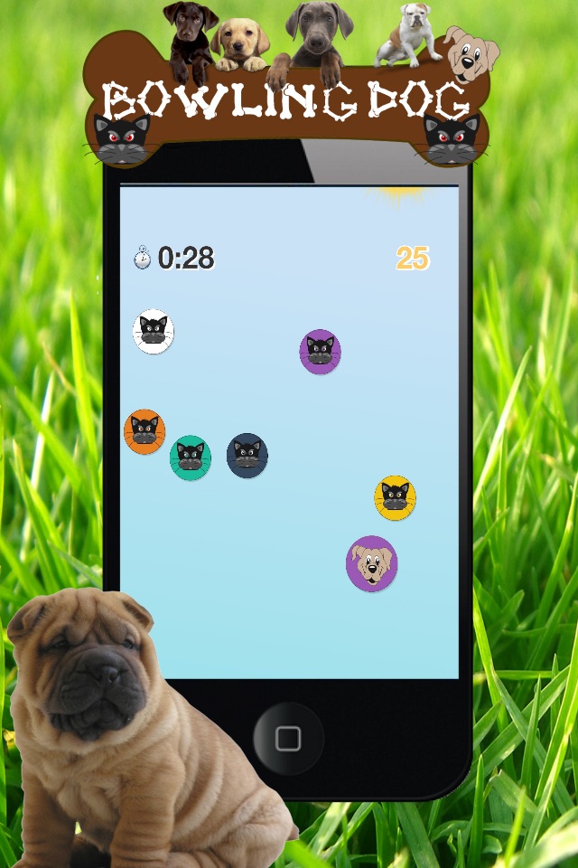 Dog Series: Bowling Dog screenshot 3