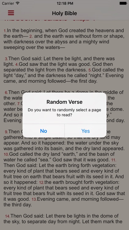 Holy Bible NABRE