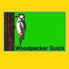 Woodpecker Quick