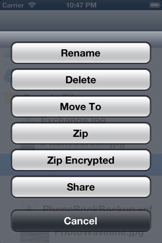Easy File Exchange screenshot 3