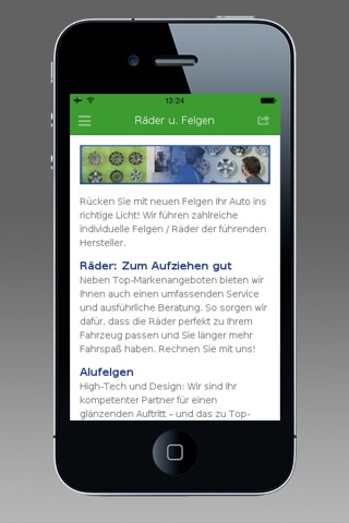 Reifen Pfleger GmbH screenshot 2