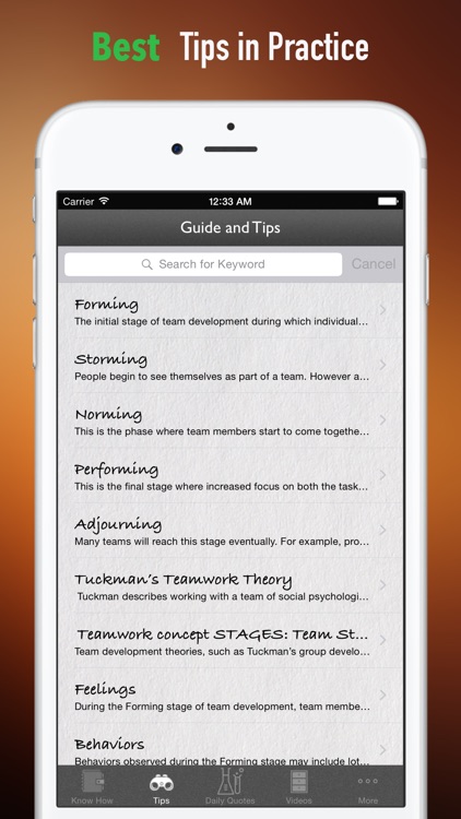 Stages of Team Development by Bruce Tuckman screenshot-3