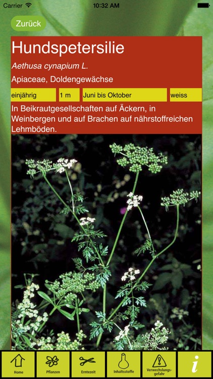 Essbare Wildpflanzen (Lite Version) screenshot-4