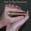 How To Play Harmonica - Harmonica Guide