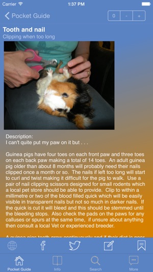 Pocket Guide Guinea Pigs(圖3)-速報App