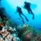 Enjoying photos and videos of world famous diving spots right on your iPhone