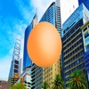 Egg in Sydney