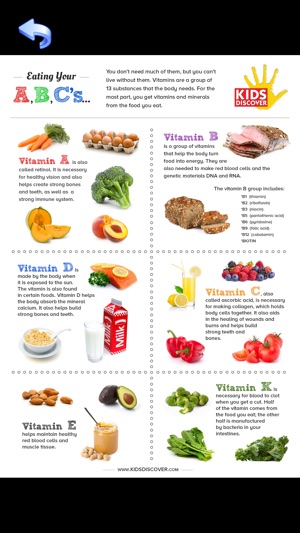 Nutrition Lookup: Facts and Flashcard Dictiona