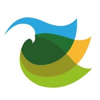 FalconEye 360  PC 용