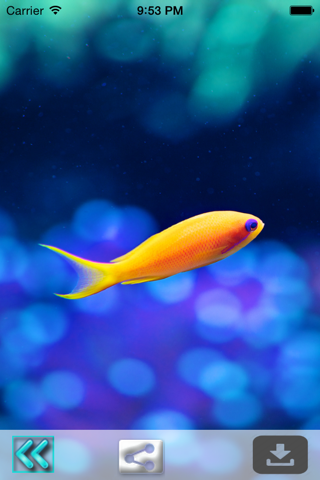 Aquarium Wallpapers-Fish Walls screenshot 3