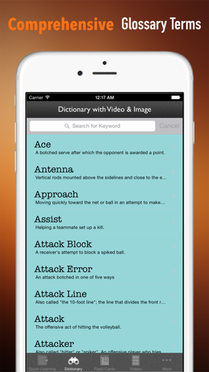 Volleyball 101: Quick Learning Reference with Video Lessons (圖3)-速報App