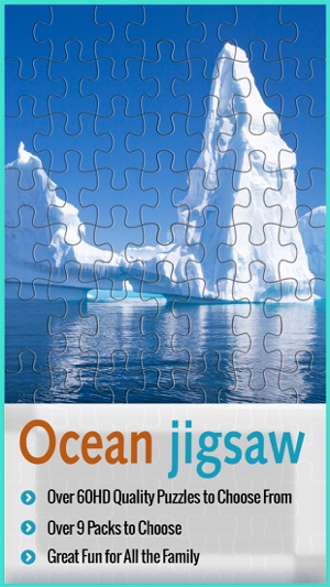 Ocean Puzzle Boardgame-A  Brain Teaser &