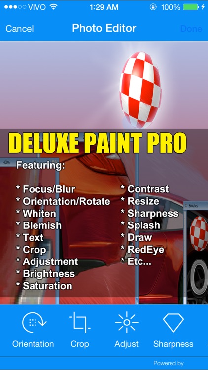 Deluxe Paint Pro