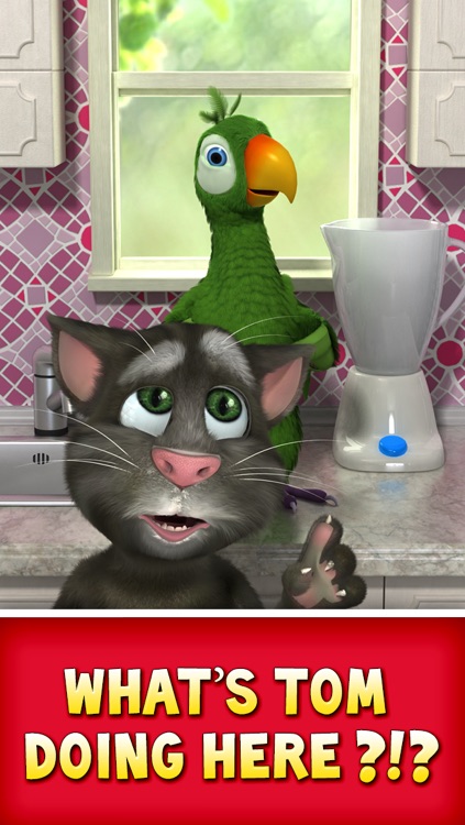 Talking Pierre the Parrot screenshot-4