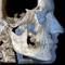 This fun, educational application teaches you the major anatomic landmarks that you will see in your 3-D cone beam scans