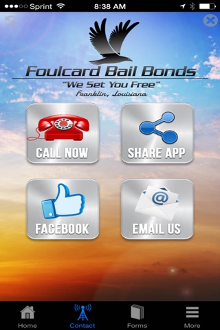 Foulcard Bail Bonds screenshot 2