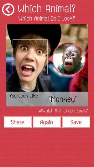 Which Animal Do I Look?(圖2)-速報App