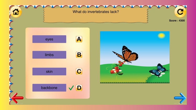 5th Grade Science Glossary # 2 : Learn and Practice Worksheets for home use and in school classrooms