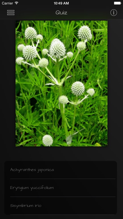 Medicinal Herbs Guide screenshot-3