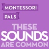 Montessori Pals - These Sounds Are Common