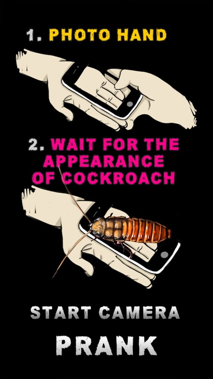Cockroach 2 Hand Funny Joke