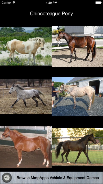3Strike Horses screenshot-4
