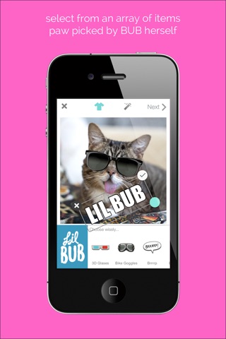 Lil BUB screenshot 2