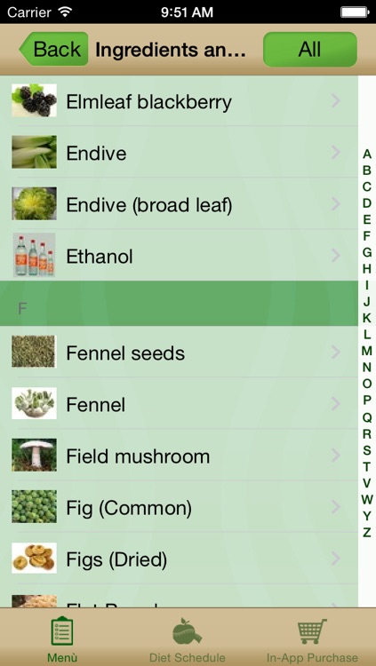 Vegetarian & Vegan Diet screenshot-4