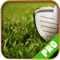 Game Pro - Tiger Woods PGA Tour 14 Version
