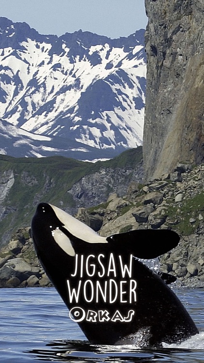 Orca Puzzles for Kids Free Jigsaw Wonder Edition screenshot-3