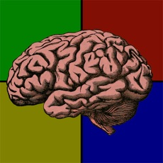 Activities of Brainable