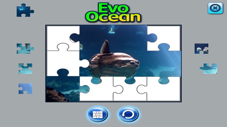 EVO OCEAN - Augmented Reality screenshot-4