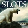 Polo North Animals - FREE Slots Game A Play Vegas Studios