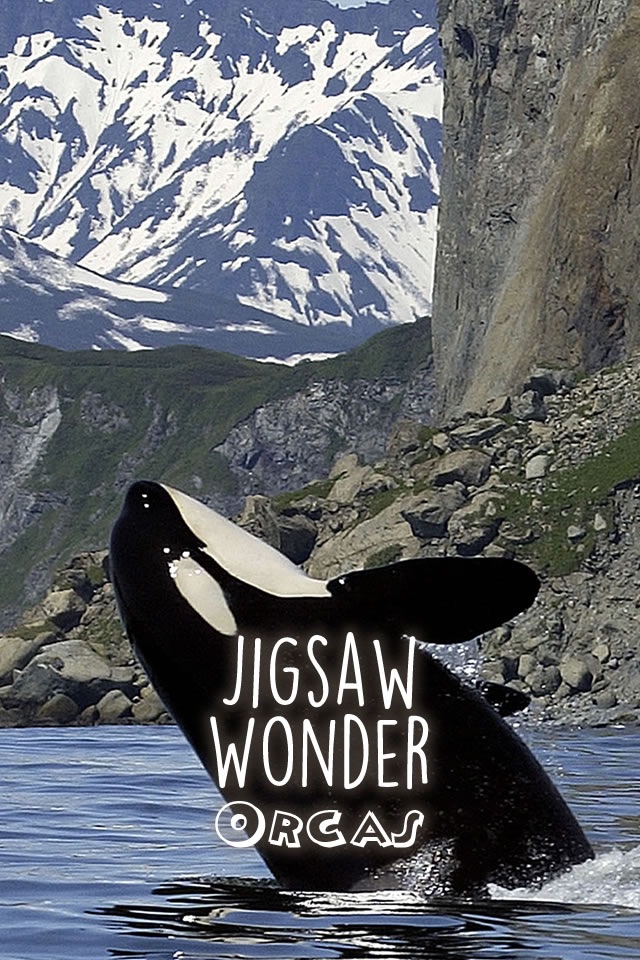 Orca Puzzles for Kids Free Jigsaw Wonder Edition screenshot 4