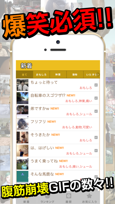 Telecharger 俺のgif 絶対笑えるおもしろgifアニメ画像 Pour Iphone Sur L App Store Divertissement