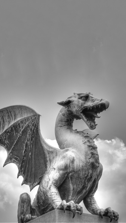 Choice of the Dragon