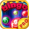 Bingo Mega Win Pro - Practise Your Casino Game and Daubers Skill for FREE !