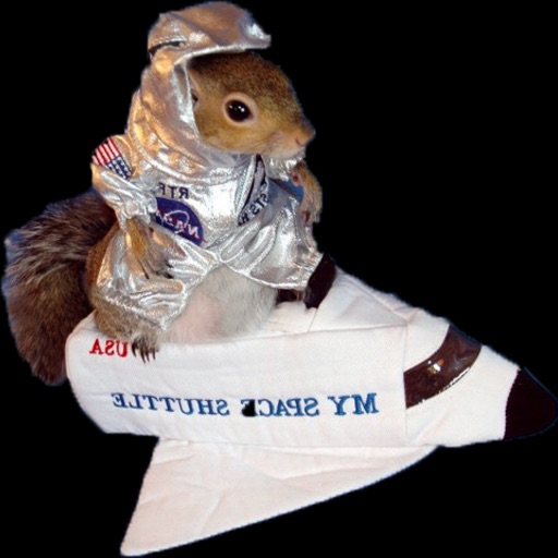 Shuttle Squirrel