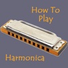 Harmonica Video Guide - Step By Step Video Lessons Guide for Beginners