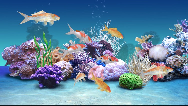 Koi Aqua HD - Real Sim Coral Reef Plants and Live Freshwater Fish Tank Pond & Virtual Tropical Fishes Tour